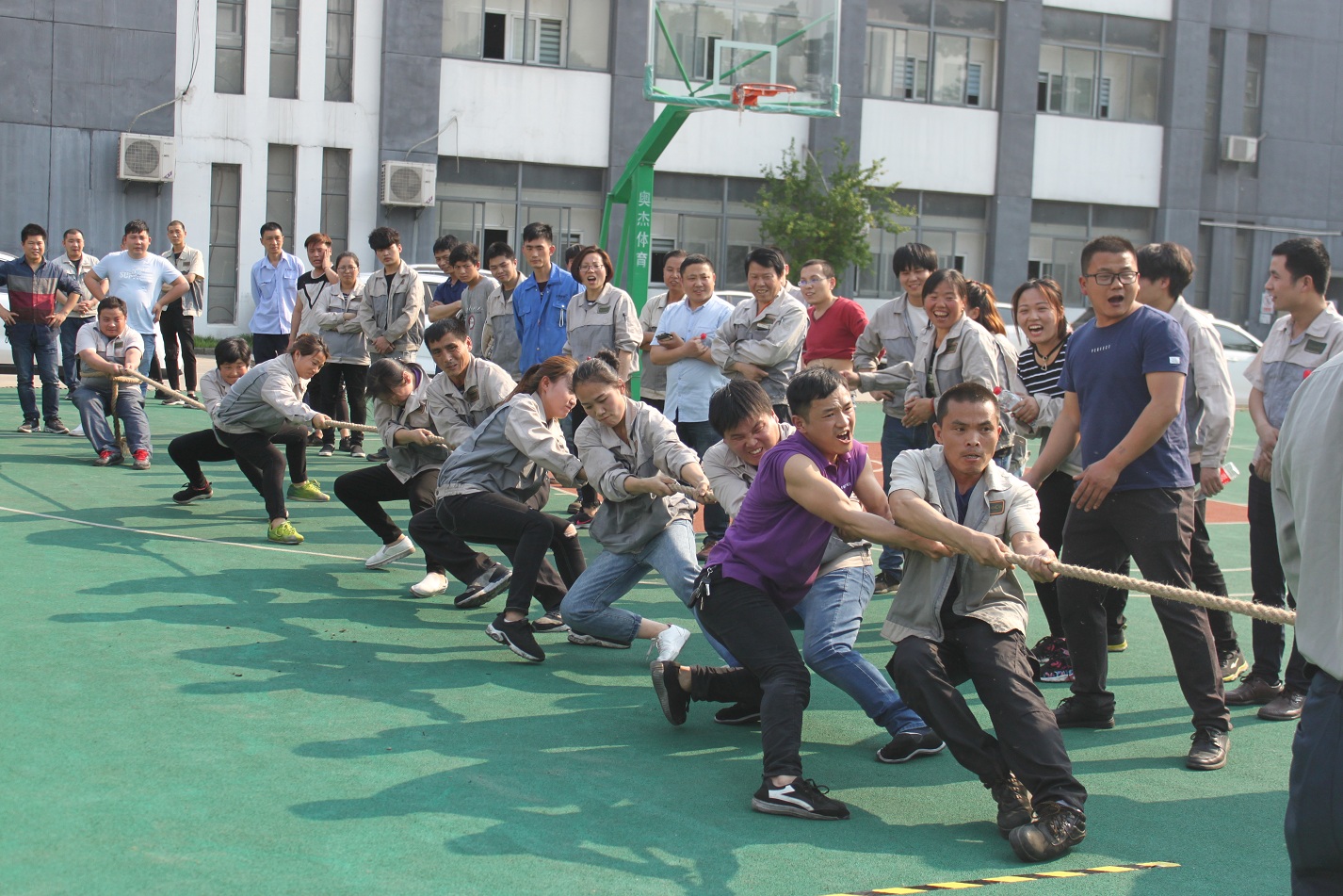 万利·(中国区)有限公司官网